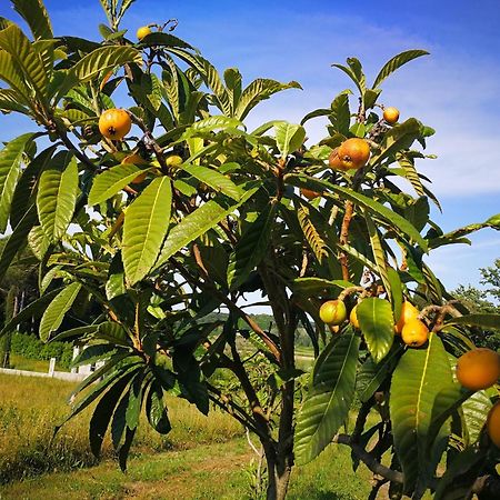 Masseria Le Querciole Fauglia Luaran gambar