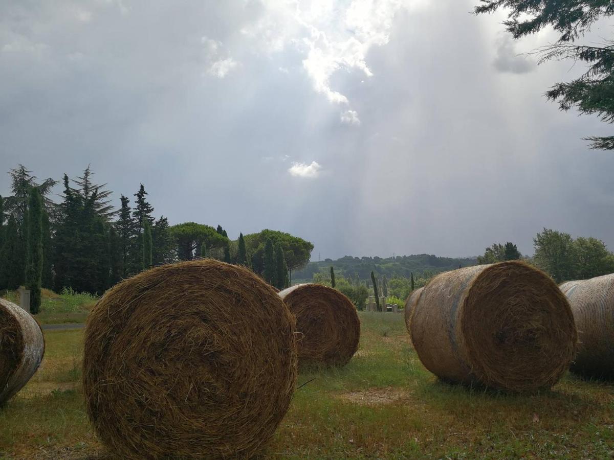 Masseria Le Querciole Fauglia Luaran gambar