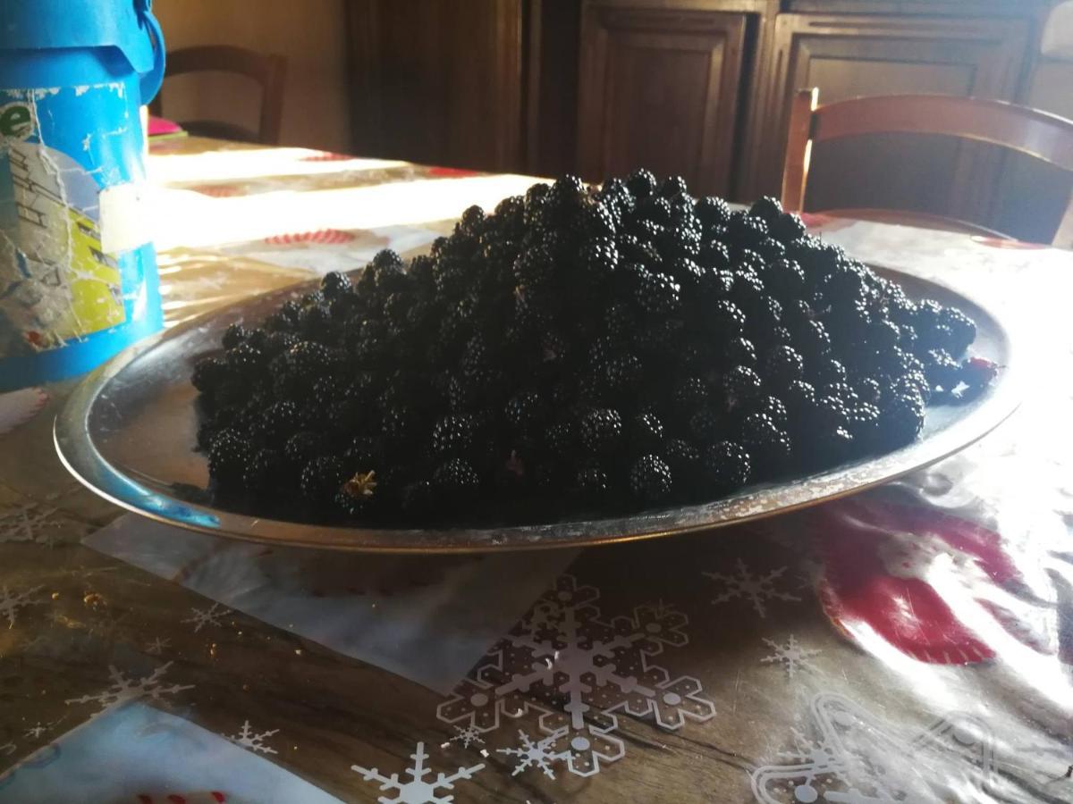 Masseria Le Querciole Fauglia Luaran gambar