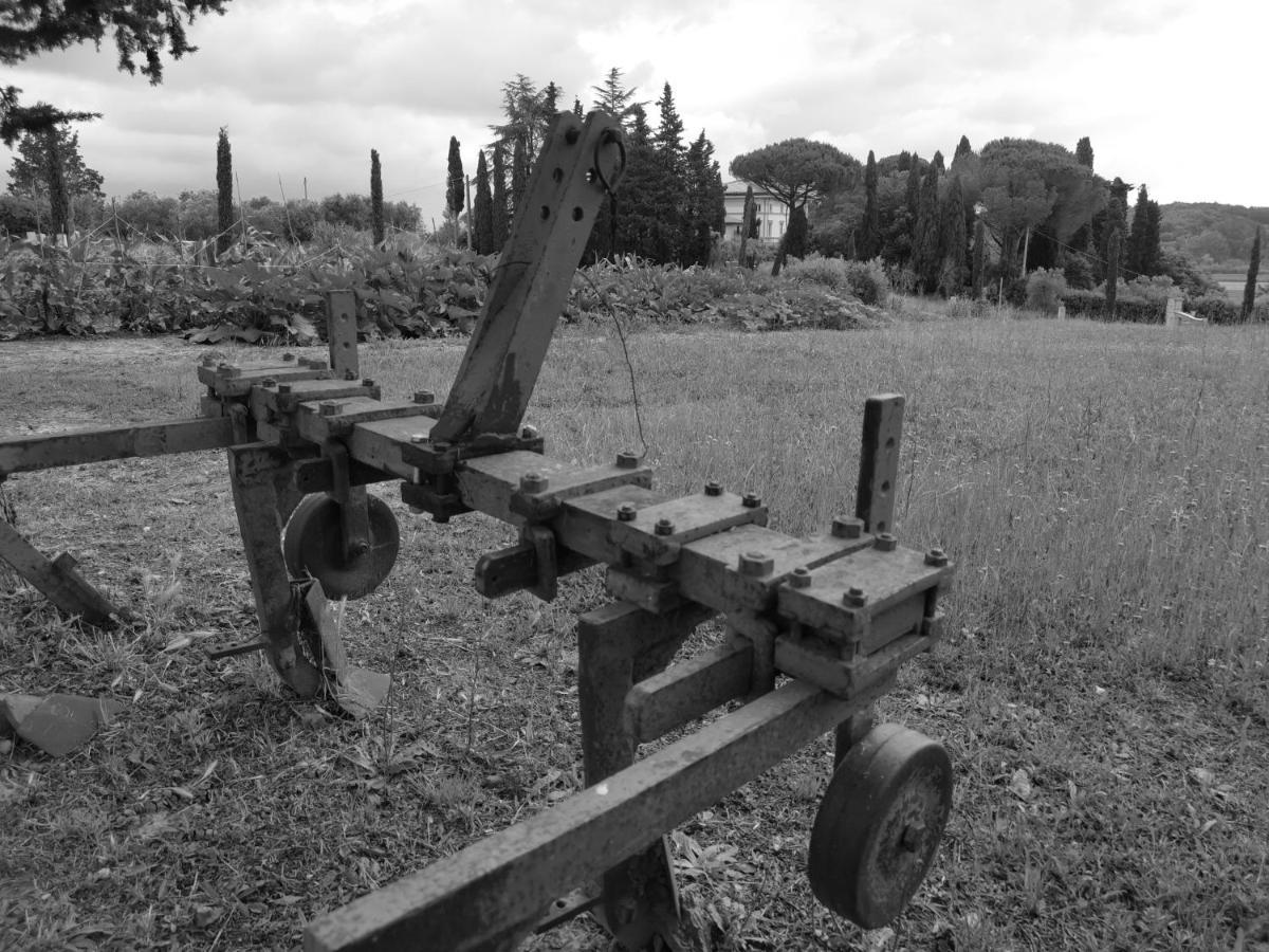 Masseria Le Querciole Fauglia Luaran gambar