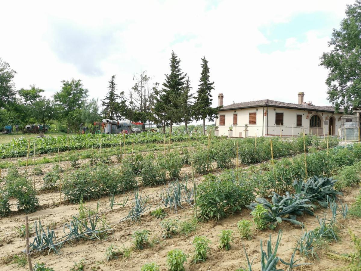 Masseria Le Querciole Fauglia Luaran gambar