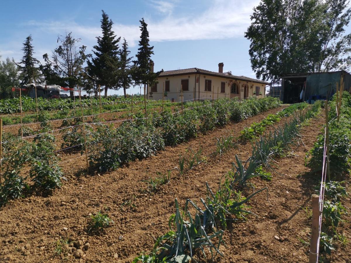 Masseria Le Querciole Fauglia Luaran gambar