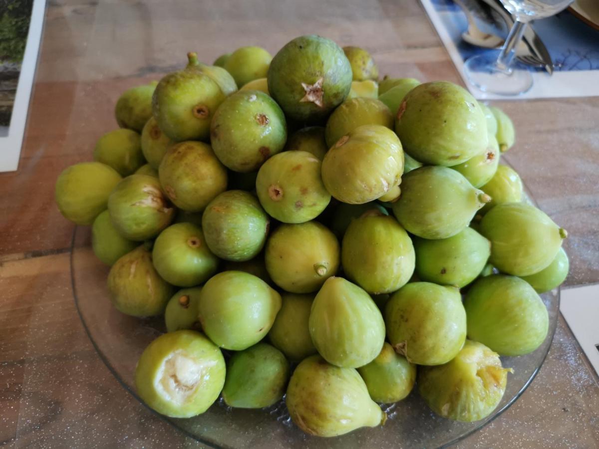Masseria Le Querciole Fauglia Luaran gambar